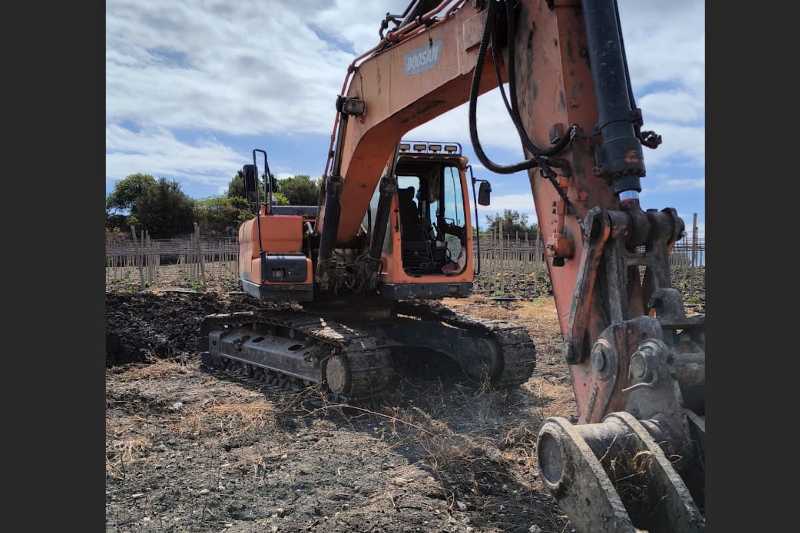 OmecoHub - Immagine DOOSAN DX225NLC